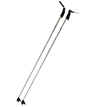 Палки лыжные беговые Spine