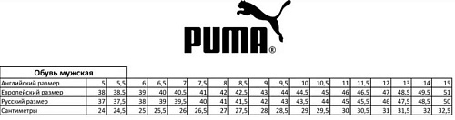 Кроссовки Puma Solarsmash RCT (10729701)