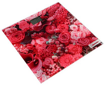 Весы электронные HomeStar (HS-6001A)  (2136885)