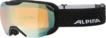 Очки горнолыжные Alpina Pheos S (A7214838)